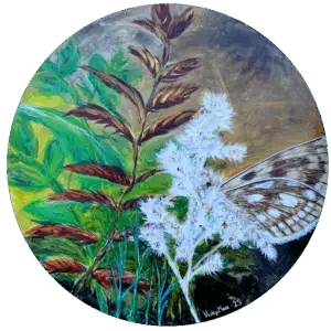 Metsän kehrääjä, VickyMaa